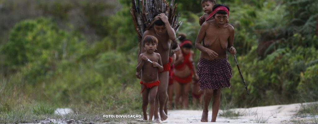 Perspectivas Culturais e Demográficas: Censo do IBGE e a População Indígena do Brasil