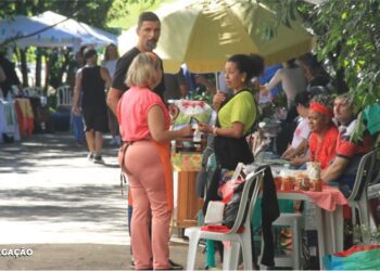 Maria Paula, São Gonçalo: Celebre o Dia 3 com a Feira Agroecológica e Gourmet