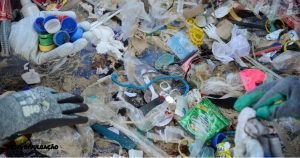 Ação internacional em Copacabana remove 80 quilos de lixo da praia