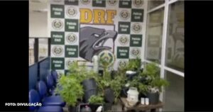 Vizinho ataca morador na Trindade, São Gonçalo Homofobia em foco