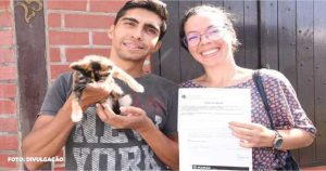 Maricá realiza campanha de adoção de cães e gatos neste sábado