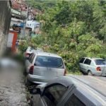 Tragédia em Niterói: Morador perde a vida eletrocutado após queda de árvore