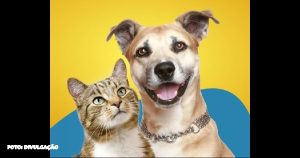 Plaza Pet: Adoção Responsável de Cães e Gatos no Plaza Niterói