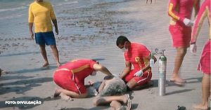 Banhistas ignoram alertas e desafiam perigos nas praias do Rio