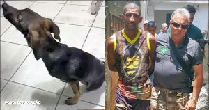 Prisão de agressor de cachorro na Zona Oeste do Rio por maus-tratos