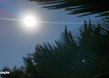 são gonçalo pode atingir os 44ºc na próxima sexta-feira 1