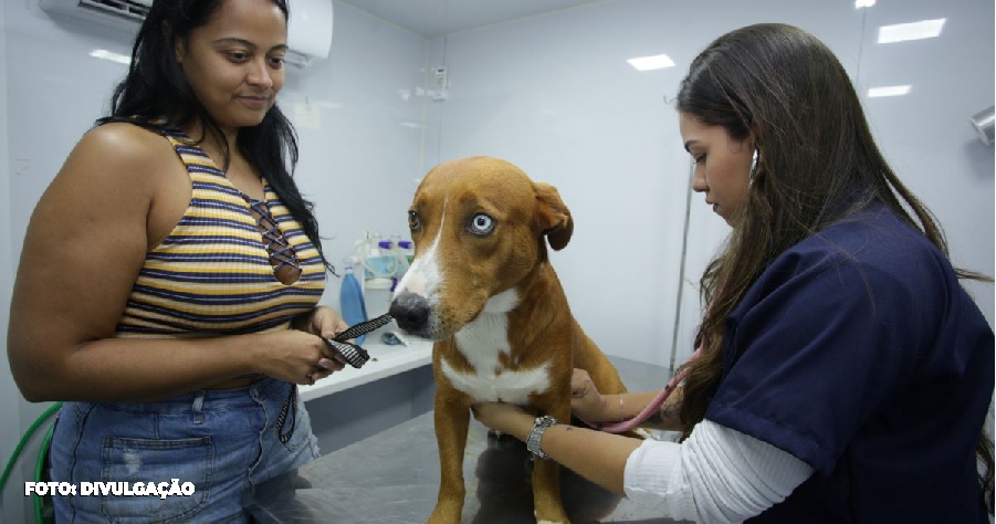 Niterói promove ação de microchipagem e saúde para Pets no Horto do Barreto