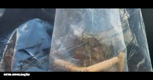 Detenção de policiais do 26º BPM por posse de maconha em Petrópolis Na última quarta-feira (10), dois policiais militares do 26º BPM (Petrópolis) foram detidos sob a acusação de portarem uma pequena quantidade de maconha em Petrópolis, na região serrana. Segundo informações da corporação, a descoberta ocorreu durante uma supervisão remota, utilizando câmeras integradas aos uniformes dos agentes. Os policiais, vinculados à 7ª Delegacia de Polícia Judiciária Militar (DPJM), foram flagrados após a identificação de atividade suspeita nas imagens. Uma equipe foi prontamente mobilizada para esclarecer a situação, resultando na prisão em flagrante. Posteriormente, os agentes foram conduzidos para uma unidade prisional da corporação.