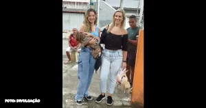 Implantação de microchips e vacinação para Pets em Niterói