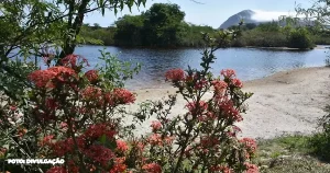 Maricá Alcança Avanços Notáveis na Conservação Ambiental em 2023