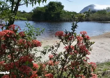 Maricá Alcança Avanços Notáveis na Conservação Ambiental em 2023