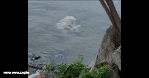 Triste descoberta na Praia de Itacoatiara: Corpo de homem encontrado por surfistas