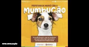 Proteção Animal divulga lista de classificação final dos inscritos no “Mumbucão”.