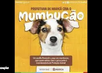 Proteção Animal divulga lista de classificação final dos inscritos no “Mumbucão”.