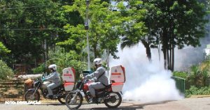 Programação semanal de controle em São Gonçalo: Arboviroses e Coronavírus