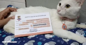 Ação Animal no Parque Rural de Niterói Promove Bem-Estar Pet!