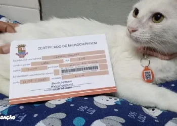 Ação Animal no Parque Rural de Niterói Promove Bem-Estar Pet!