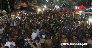 Retrospectiva Carnaval Raiz 2024 e Desafios para o Próximo Ano