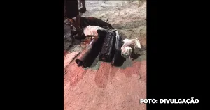 Guarda Municipal Age Rápido e Detém Dupla por Furto de Material Elétrico