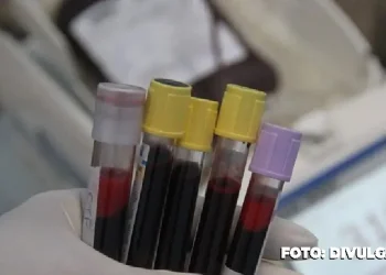 Ajude! Doe Sangue para Manter os Estoques Durante o Carnaval