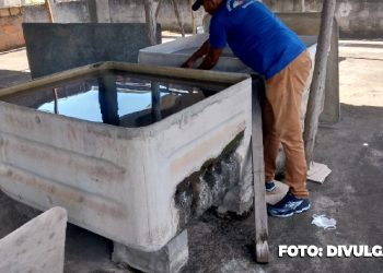 Orientações importantes sobre a Dengue em São Gonçalo