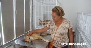 Cavem Alcântara: Castração de Bicho de Graça