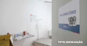 Pré-agendamento: São Gonçalo promove para castração de cães e gatos