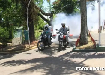 Combate ao Aedes aegypti em São Gonçalo, semana de intensificação