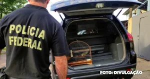 PF desmantela quadrilha de tráfico de animais em megaoperação