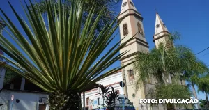 São Gonçalo: Canteiros são revitalizados