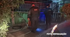 Ação noturna da Guarda Municipal: Flagrante por furto de cabos no Centro de São Gonçalo