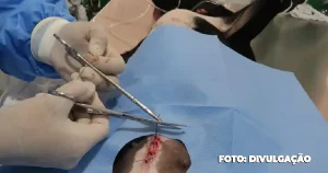 Compromisso Municipal: Cavems Elevam o Padrão de Cuidado Animal