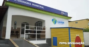 São Gonçalo: Oportunidade para castração responsável de Cães e Gatos