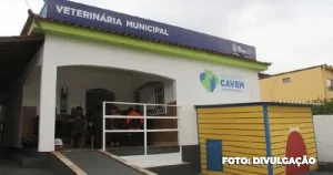 São Gonçalo e a importância da Castração responsável