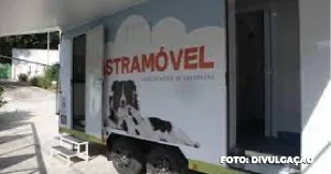 Iniciativa do Castramóvel em Niterói: Castração gratuita para cães e gatos do Cantagalo