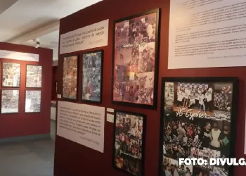 Descubra a Exposição “Quintessência” na Casa das Artes