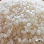 Estratégias do Governo para estabilizar o abastecimento de arroz no Brasil