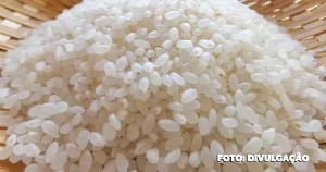 Estratégias do Governo para estabilizar o abastecimento de arroz no Brasil