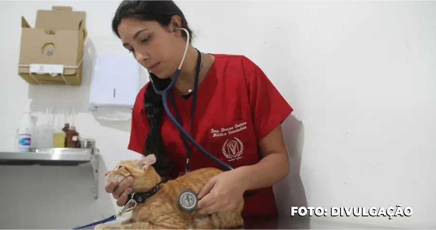 Mutuá e de Alcântara: Castração de Cães e Gatos sem custo