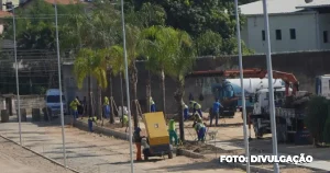 Replantio de Palmeiras e revitalização do Jardim Alcântara