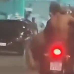 Cavalo é transportado em moto por duas pessoas em Nova Iguaçu