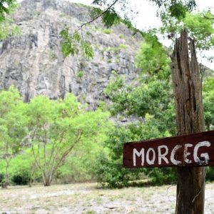 Morro do Morcego, em Jurujuba