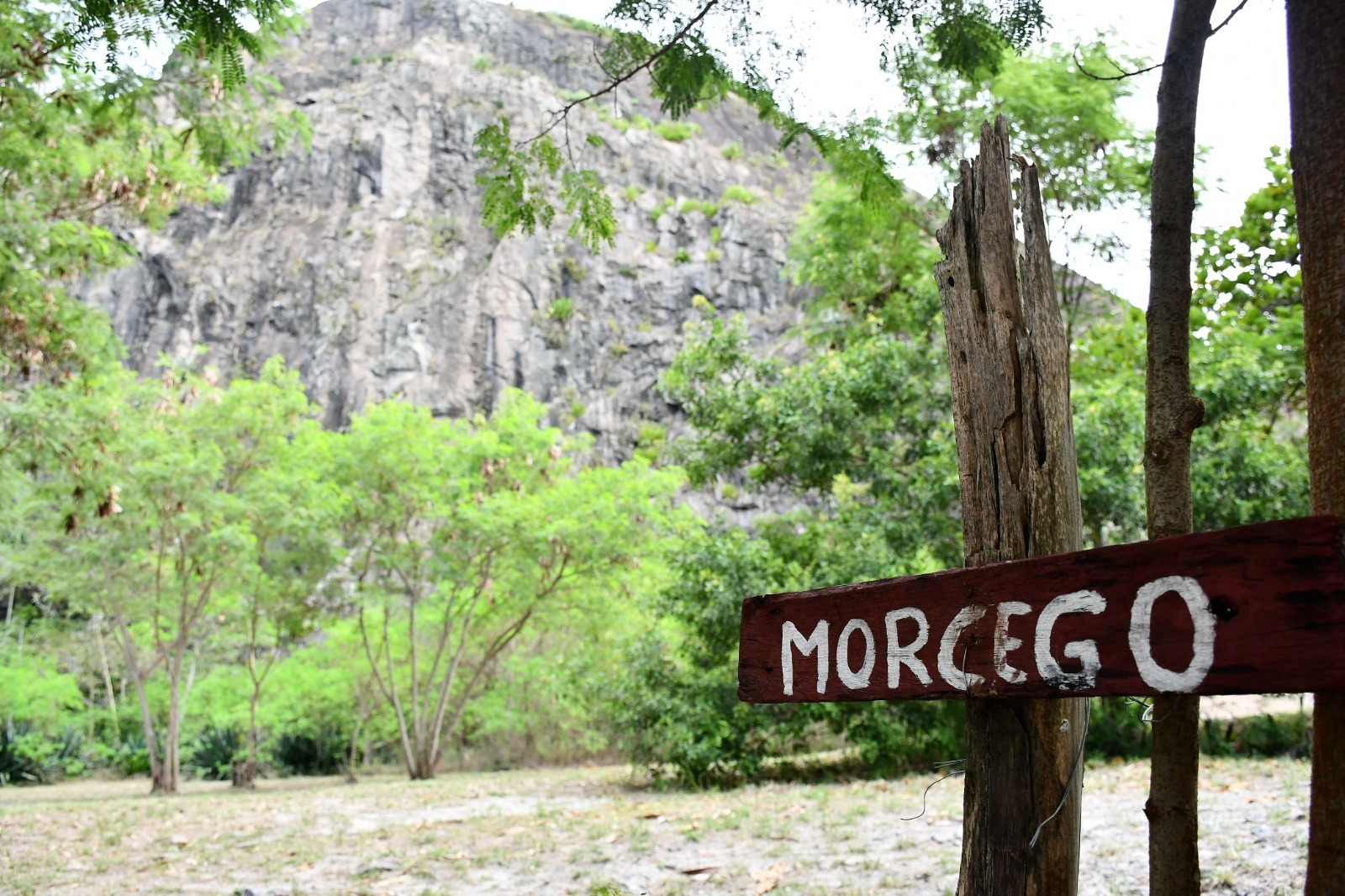 Morro do Morcego, em Jurujuba