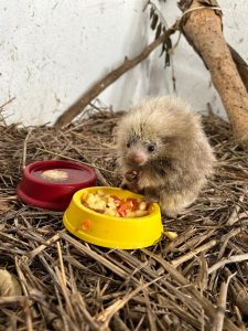 Prefeitura Municipal de São Gonçalo