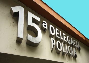 Polícia Civil prende maiores traficantes de primatas do Rio de Janeiro