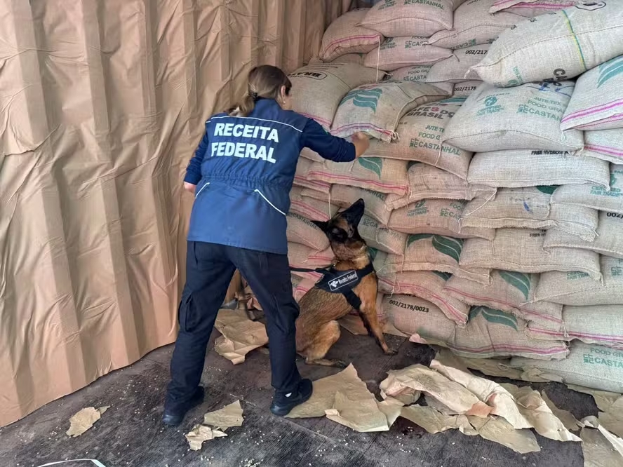 Receita Federal apreende quase duas toneladas de cocaína em carga de café no Porto do Rio