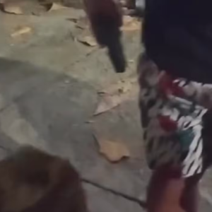 Policial dá tiro no pé de entregador durante discussão em Jacarepaguá