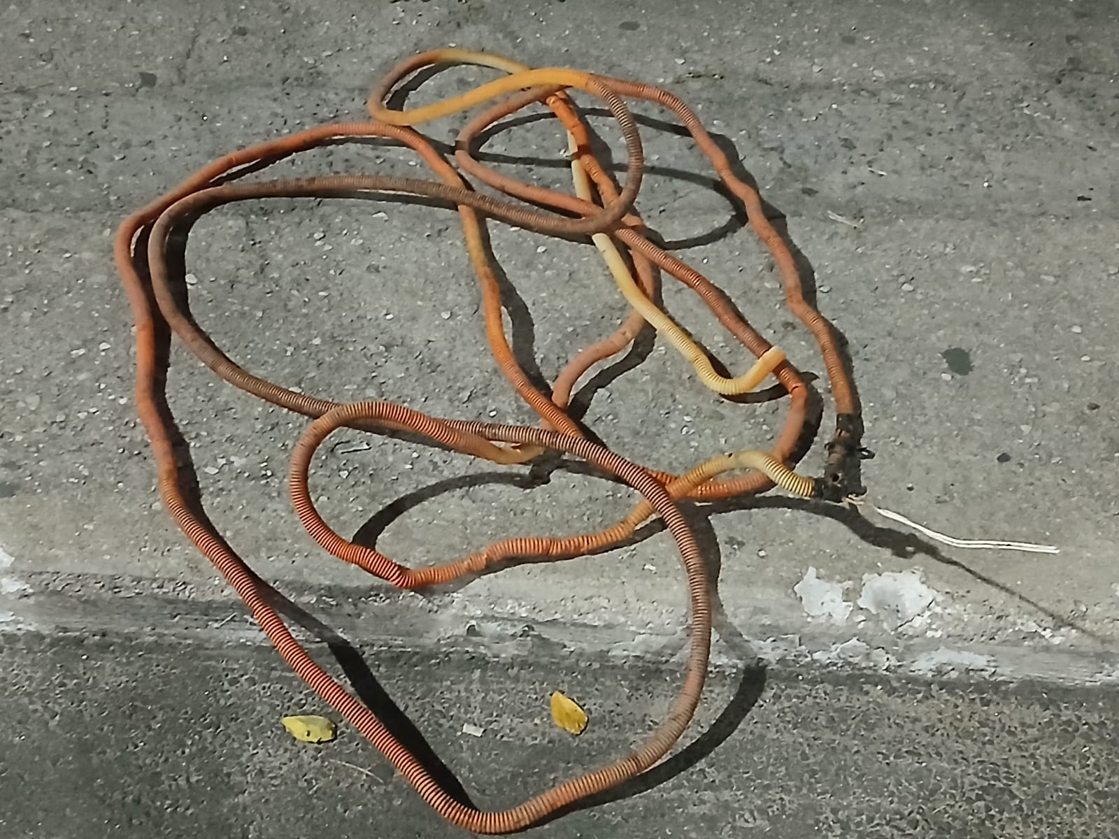 Guarda Municipal prende dupla que tentou furtar estabelecimento comercial no Boaçu