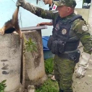 Screenshot 20250907 172628 WhatsApp 1