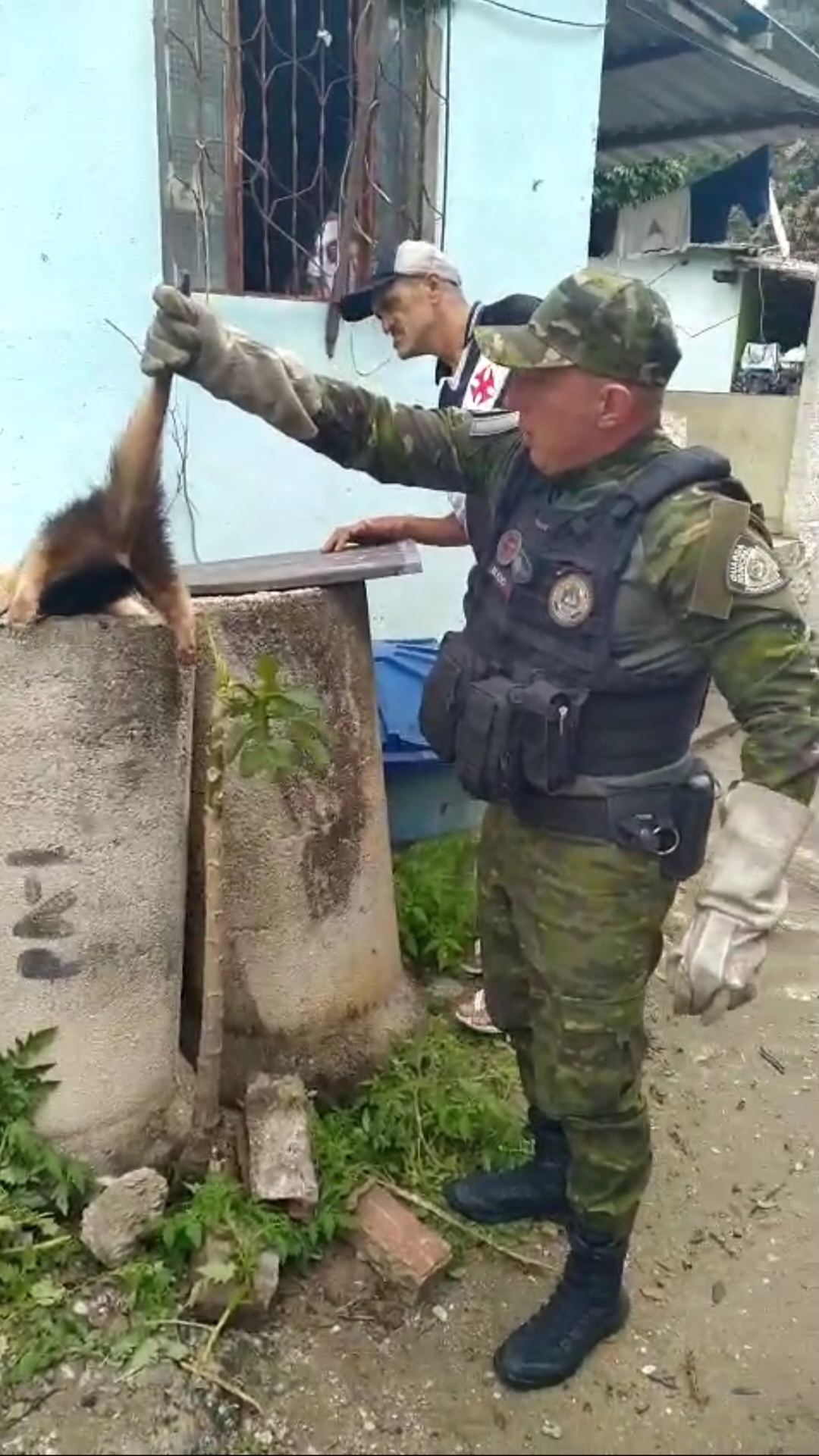 Screenshot 20250907 172628 WhatsApp 1